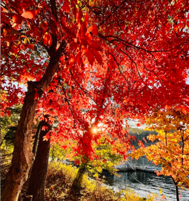 202511100937-5992329062.png image.png