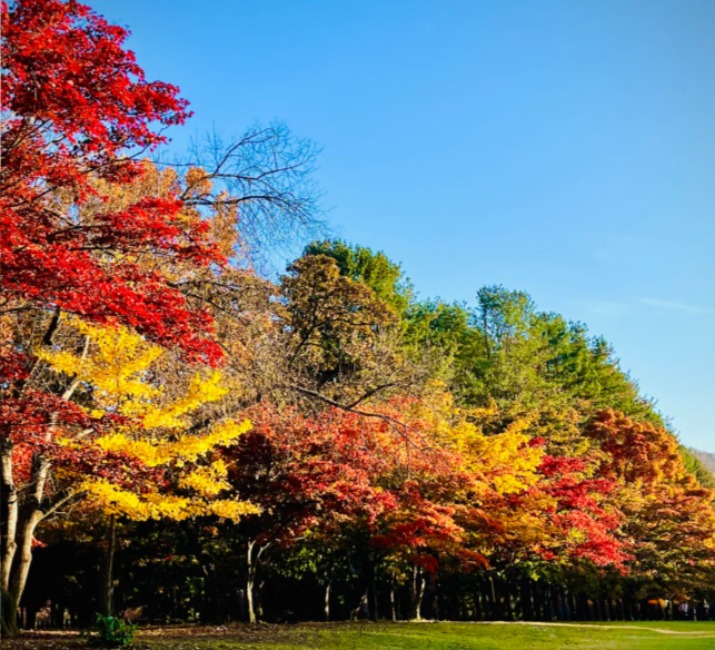 202511100938-1765449869.png image.png