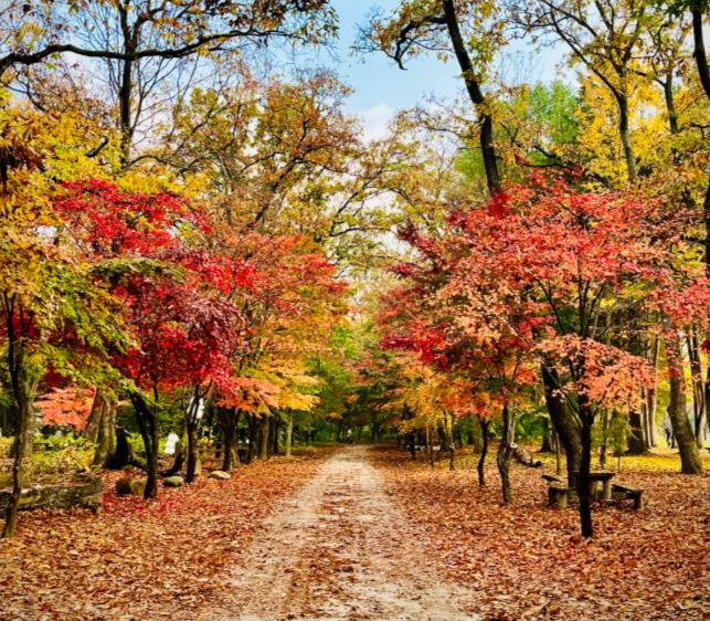 202511100938-6183532149.png image.png