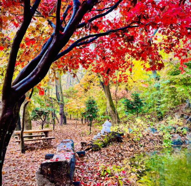 202511100938-8999605913.png image.png