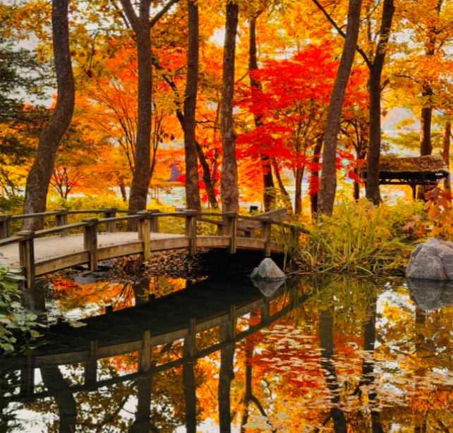 202511100939-3953633202.png image.png