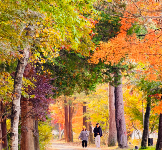 202511100940-3913203976.png image.png