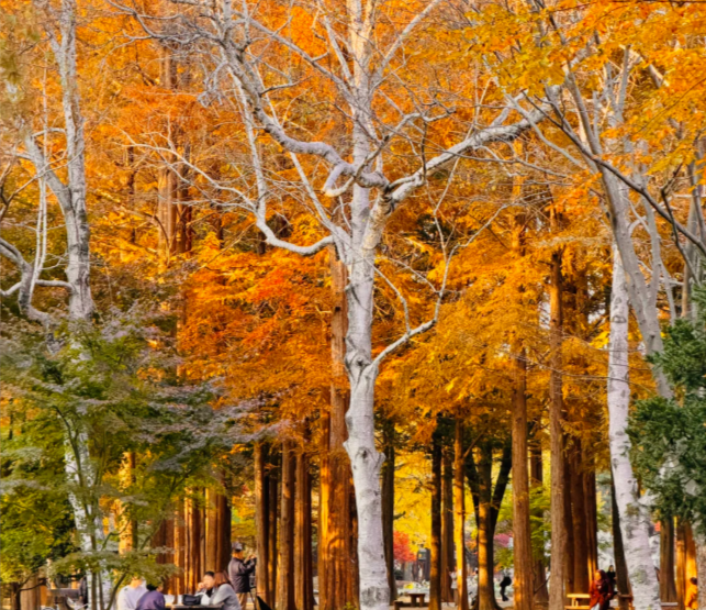 202511100940-9767979569.png image.png