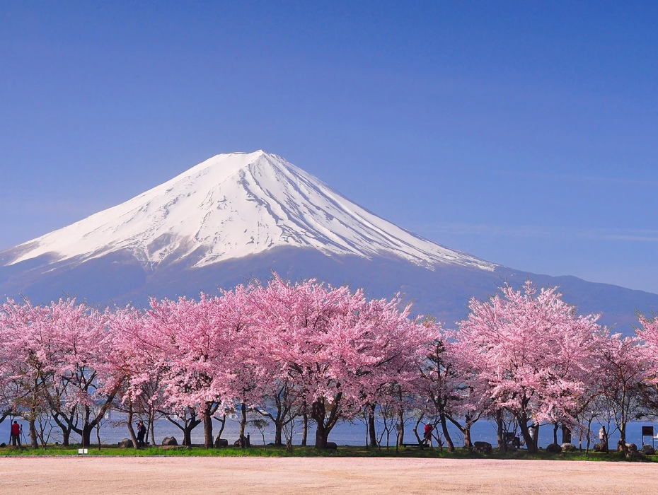 202511101128-6632561035.png 企业微信截图_17624094551501.png