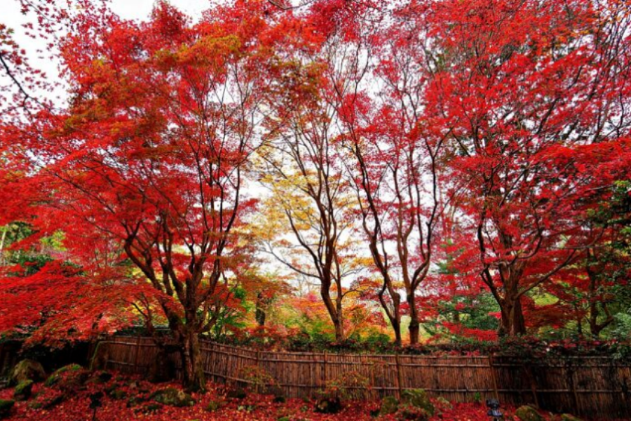 202511101639-1927379587.png 屏幕截图 2025-09-02 100156.png