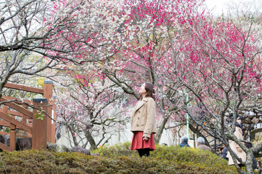 202511101659-1763798893.png 屏幕截图 2025-10-23 104459.png