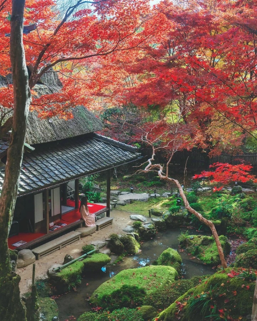 🍁滋贺·教林坊｜苔与红叶之间的秘境_3_旅行自由派_来自小红书网页版.jpg