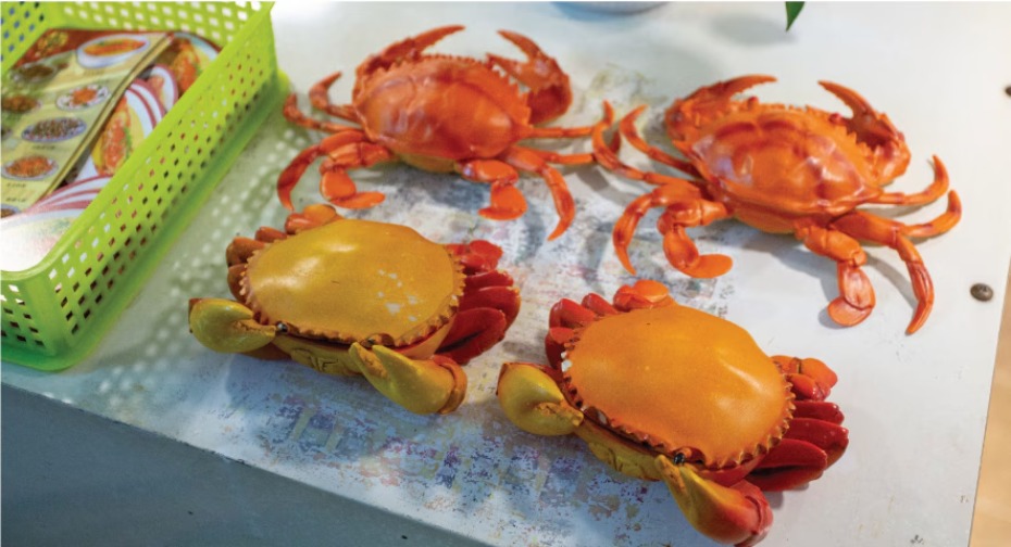 202511111800-9020009837.jpg lcp_76_10.jpg