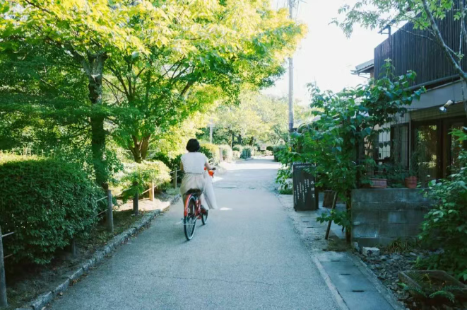 202511120939-7489760150.png image.png