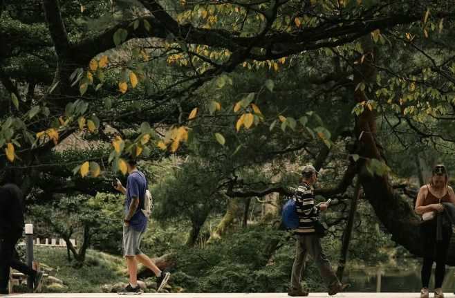 202511120940-6729775462.png image.png