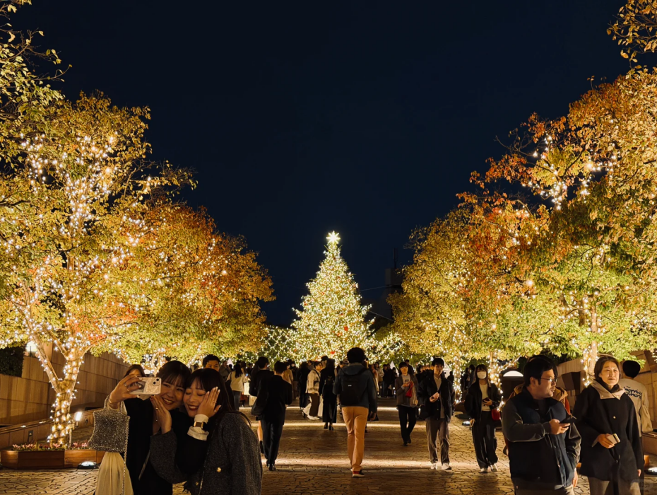 202511121335-8358696709.png 惠比壽巴卡拉水晶燈.png