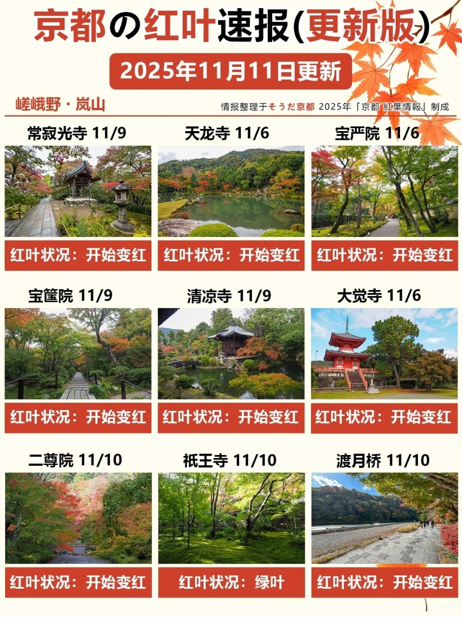11_11更！京都红叶速报🍁善峯寺快全红啦_5_御屋·民宿_来自小红书网页版.jpg