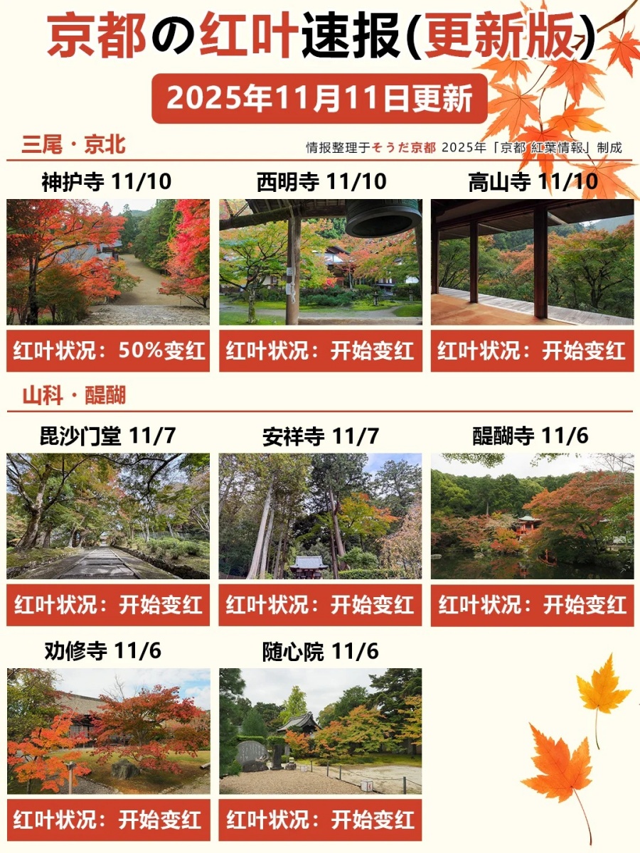 11_11更！京都红叶速报🍁善峯寺快全红啦_7_御屋·民宿_来自小红书网页版.jpg