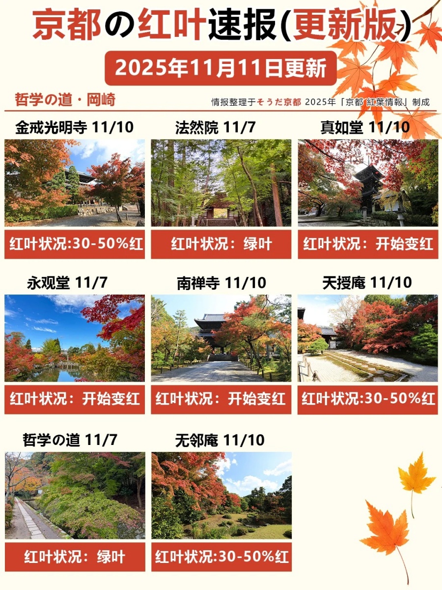11_11更！京都红叶速报🍁善峯寺快全红啦_2_御屋·民宿_来自小红书网页版.jpg