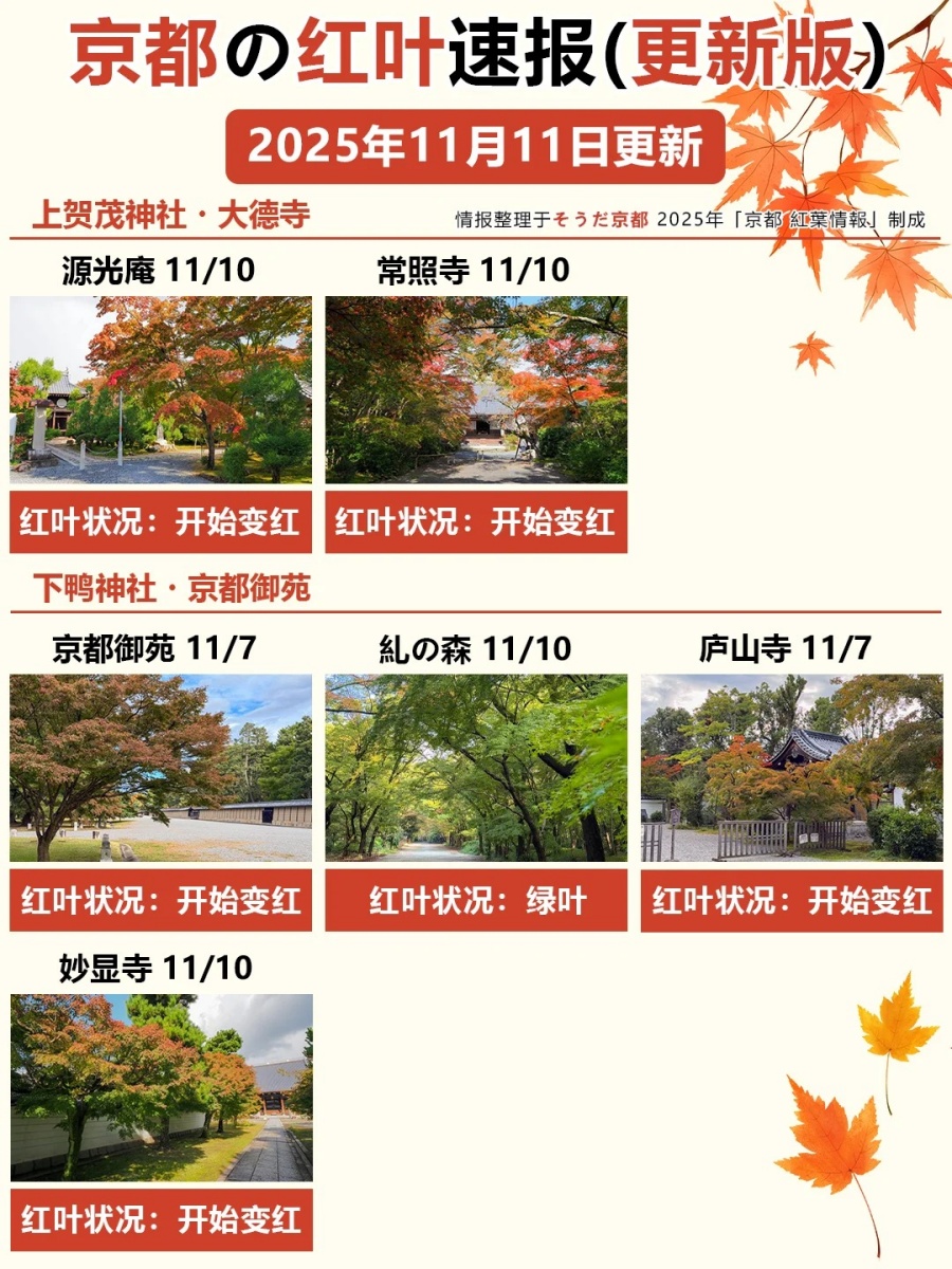11_11更！京都红叶速报🍁善峯寺快全红啦_3_御屋·民宿_来自小红书网页版.jpg