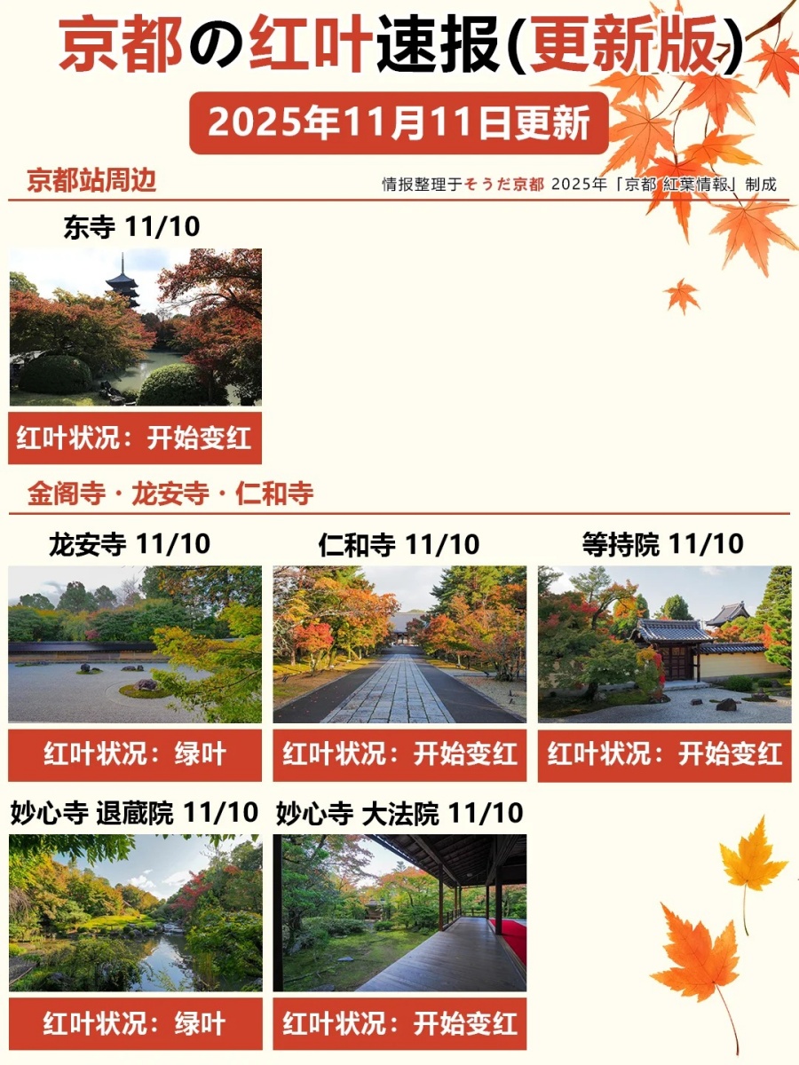 11_11更！京都红叶速报🍁善峯寺快全红啦_4_御屋·民宿_来自小红书网页版.jpg