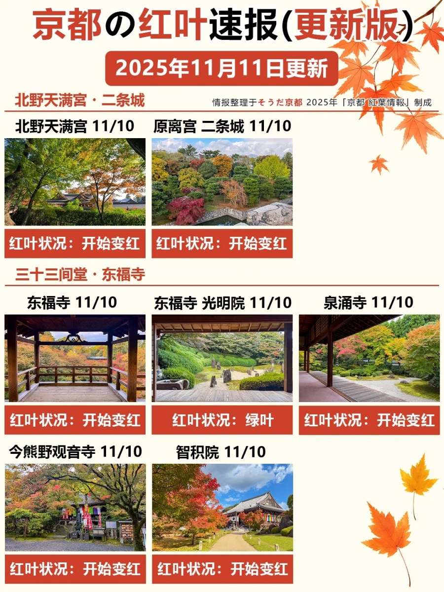 11_11更！京都红叶速报🍁善峯寺快全红啦_1_御屋·民宿_来自小红书网页版.jpg