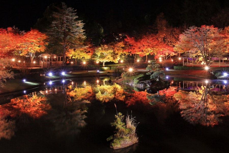 202511121527-6317492462.jpg 修善寺虹之乡3.jpg