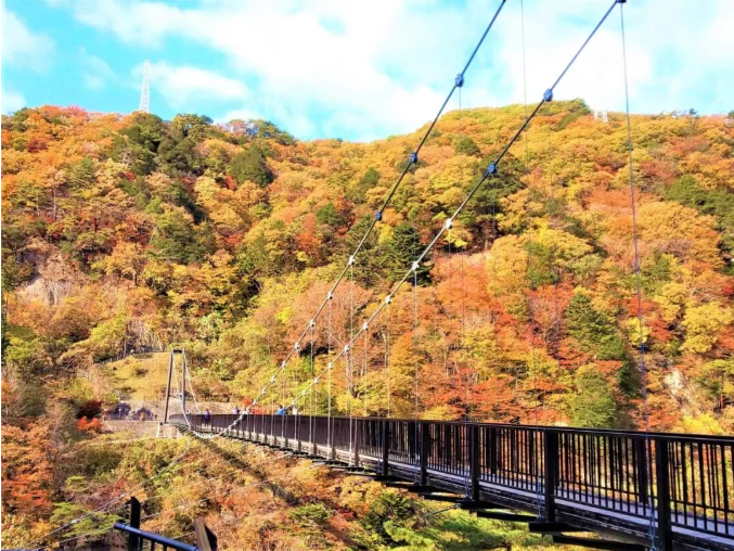 202511130939-4107069463.png image.png