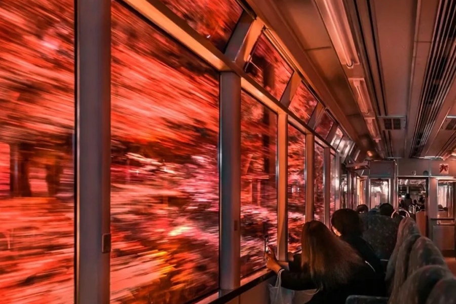 202511131325-6622761686.jpg 🍁京都|🚉穿越梦境中绝美的红叶隧道🍁_4_愛子在日本_来自小红书网页版.jpg