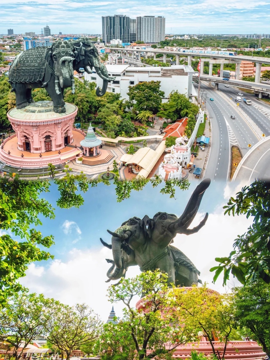 202511141105-2297949974.jpg 930-8.jpg