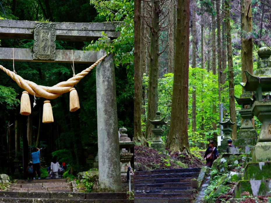 202511141119-4518793919.png 企业微信截图_17630851173772.png