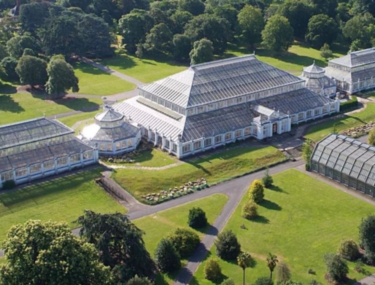 202511141430-8160874569.jpg 花信之旅_植物科学的殿堂——邱园_5_花信之旅_来自小红书网页版.jpg