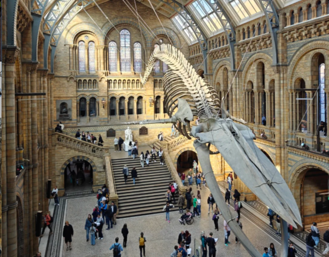 202511141432-2197762544.png image.png