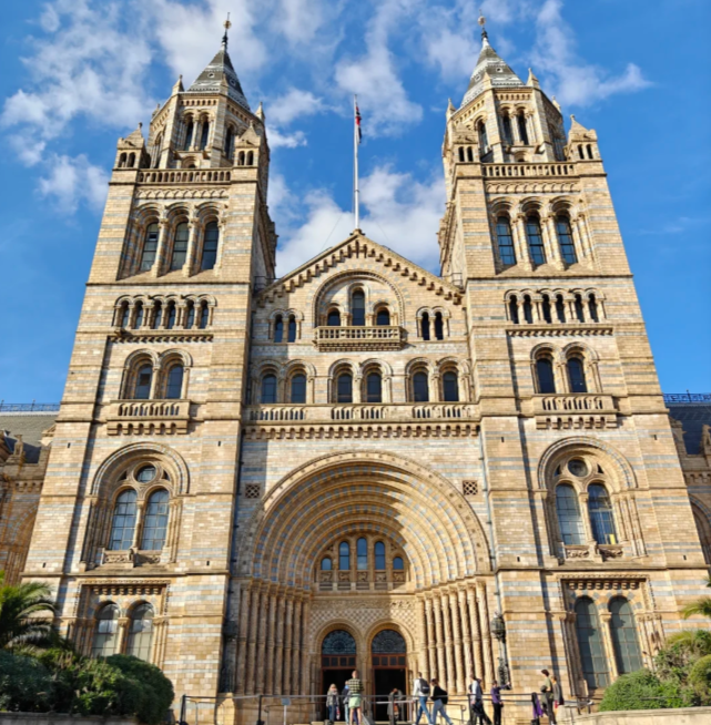 202511141432-9160112510.png image.png