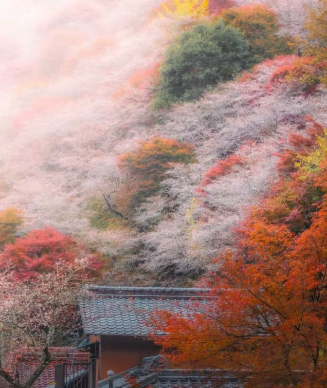 202511170909-1321304039.png image.png