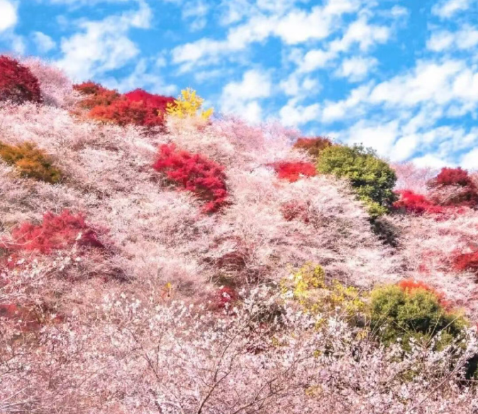 202511170910-2929306556.png image.png