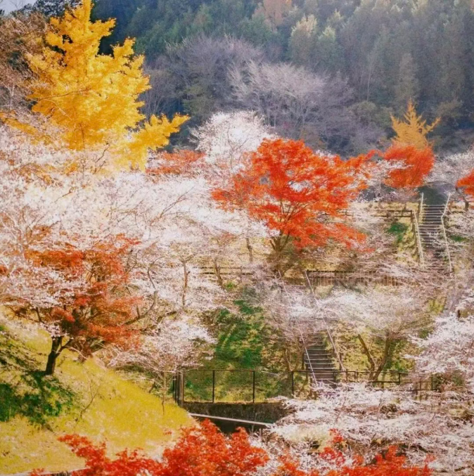 202511170910-8939081639.png image.png