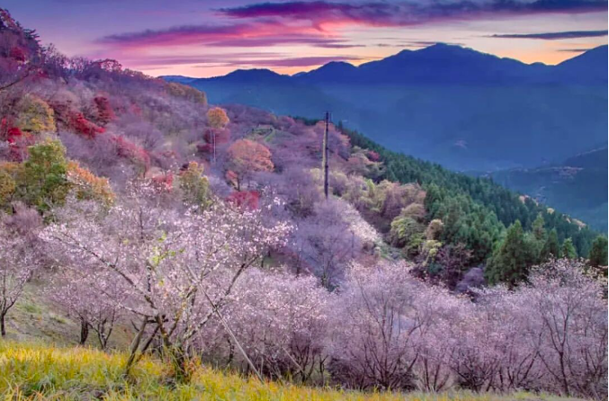 202511170911-8726166529.png image.png