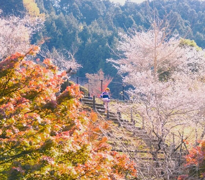 202511170919-4579869600.png image.png