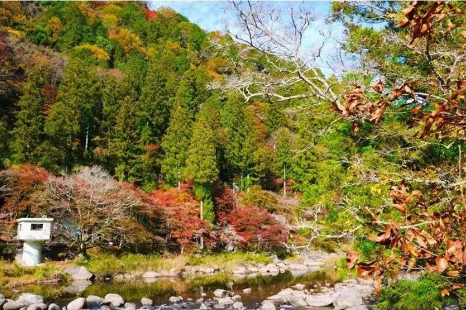 202511170920-3756139411.png image.png