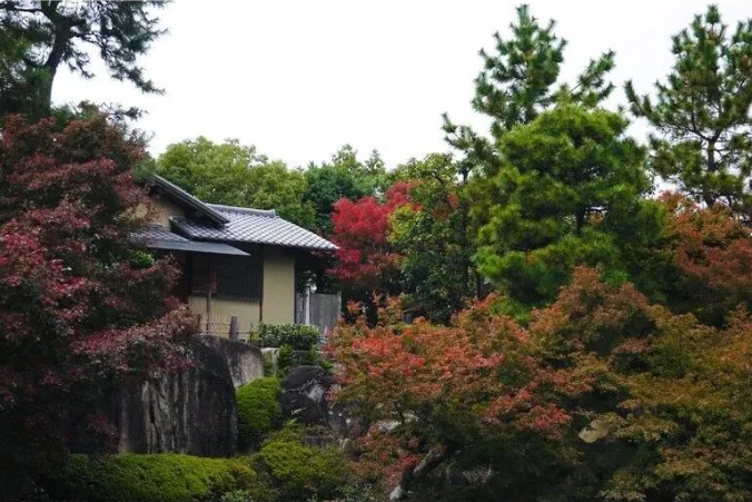 202511170920-5043390313.png image.png