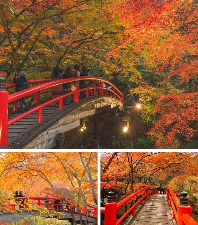 202511170927-1892786350.png image.png