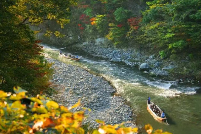 202511170927-3609790621.png image.png