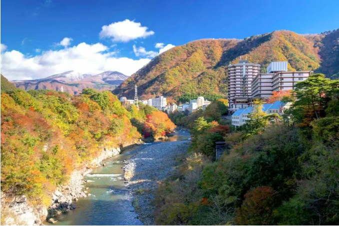 202511170927-9963497873.png image.png