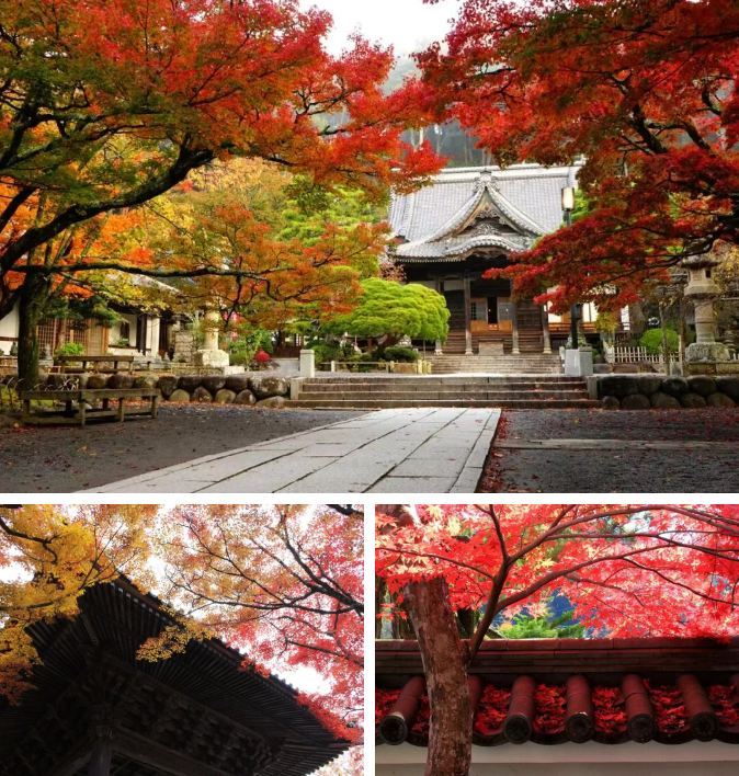 202511170929-5518666617.png image.png