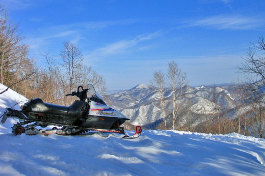 202511170958-3031511448.jpg 3.jpg