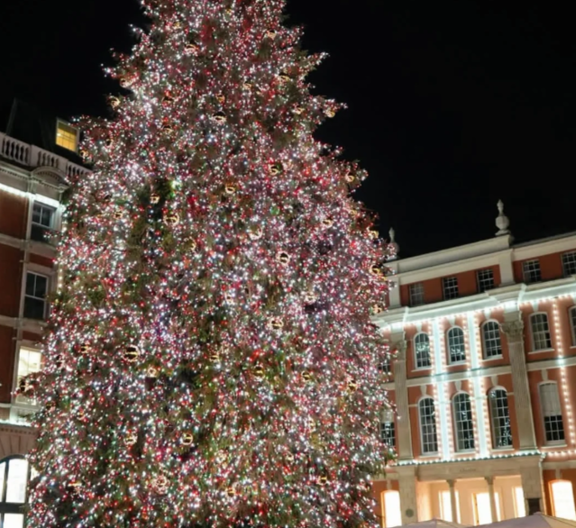 202511171115-3194288897.png image.png