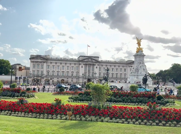 202511171125-1027292668.png image.png