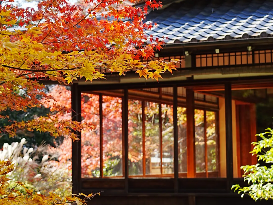 202511171131-2093833153.png 天授庵.png