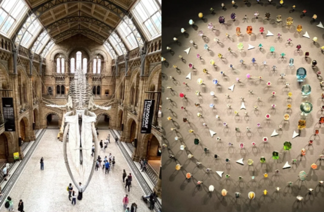 202511171133-5936261357.png image.png