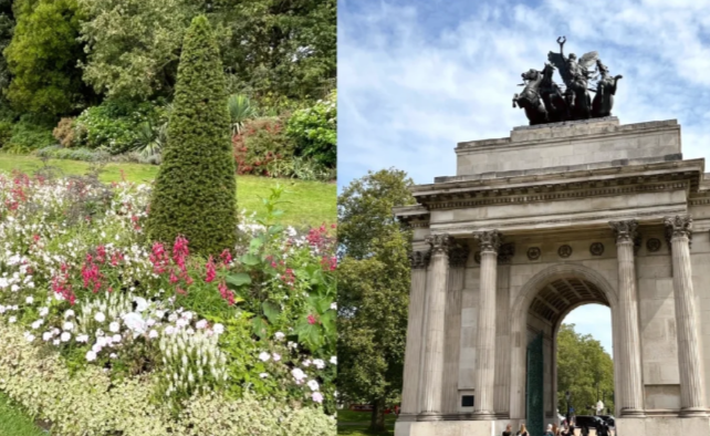 202511171133-6086617243.png image.png