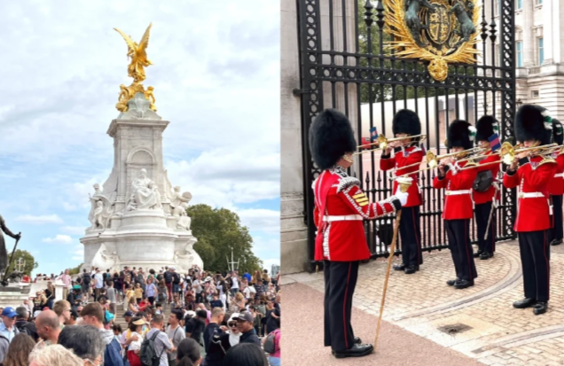 202511171133-6341849193.png image.png