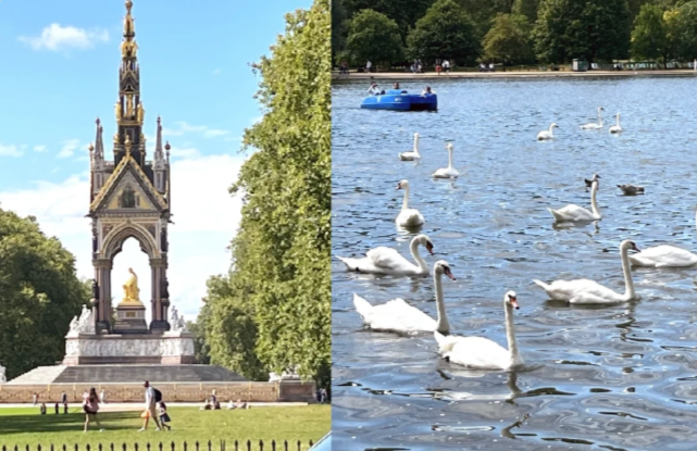 202511171133-7765102357.png image.png