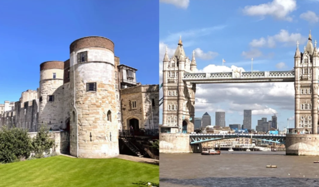 202511171134-5952710057.png image.png