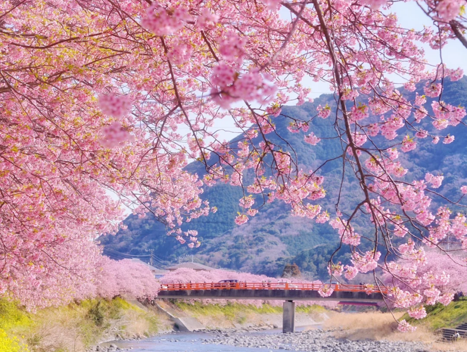 202511171139-5132189376.png 伊豆半島河津.png